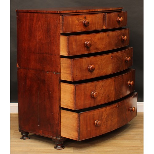 2684 - An early Victorian mahogany bowfront split chest, slightly oversailing top above two short and four ... 