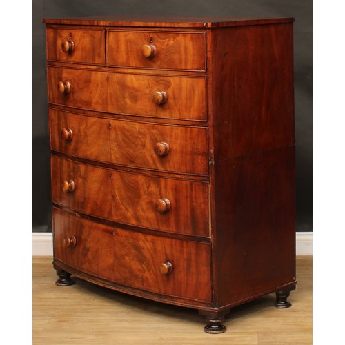 2684 - An early Victorian mahogany bowfront split chest, slightly oversailing top above two short and four ... 