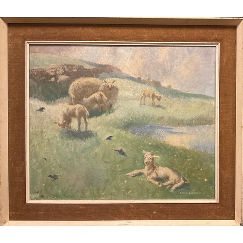 100A - David Buchanan, Springtime Lambs, signed, oil on canvas, 50.5cm x 60.5cm.