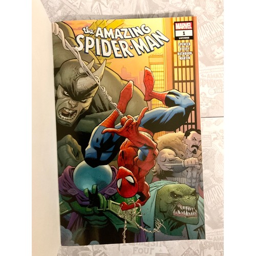 6333 - Comic Book art. 

The Amazing Spider-Man #1 (July 2018) Marvel Comics Blank Variant. Original sketch... 