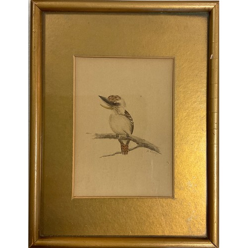 103 - Cayley (Australian school, early to mid 20th century), Kookaburra, signed, watercolour, 13cm x 9cm.