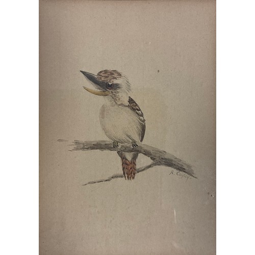 103 - Cayley (Australian school, early to mid 20th century), Kookaburra, signed, watercolour, 13cm x 9cm.