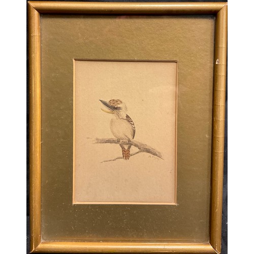 103 - Cayley (Australian school, early to mid 20th century), Kookaburra, signed, watercolour, 13cm x 9cm.