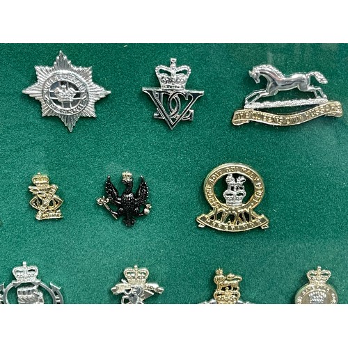 4291 - Framed collection of 20 British Cavalry & Armoured Regiments etc Staybrite Cap Badges. Frame size 49... 