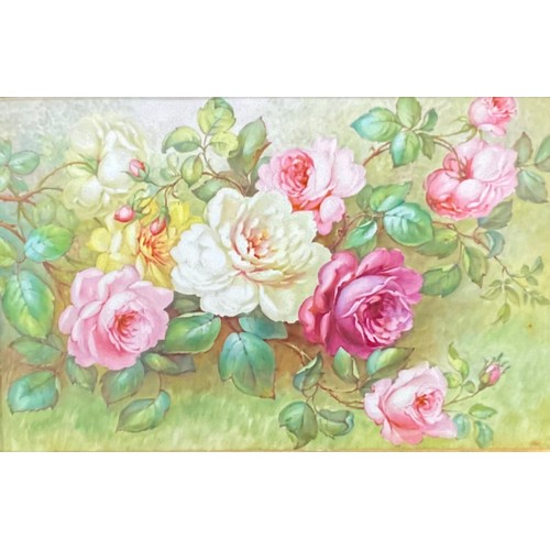 146A - An English porcelain rectangular plaque, painted by Albert Gregory, with pink, white and yellow rose... 