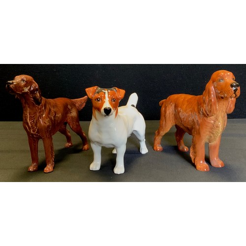 192 - Beswick Animals -  Red Setter, Jack Russell Terrier, Spaniel, all gloss, printed marks  (3)