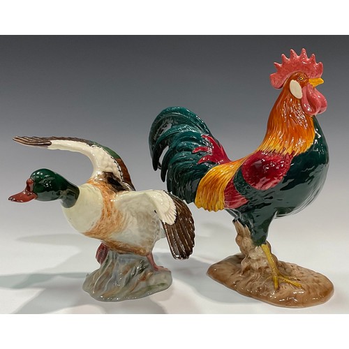 11 - A Beswick model, of a Sheldrake Duck, 15cm high, model no.994; another, Leghorn Rooster, 24cm high, ... 