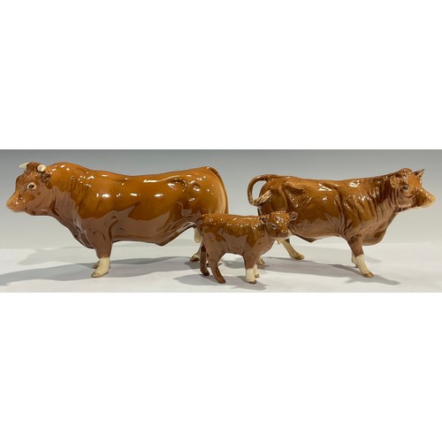 16 - A set of three Beswick Limousin cattle models, bull, cow and calf, all marked BCC 1998 (3)