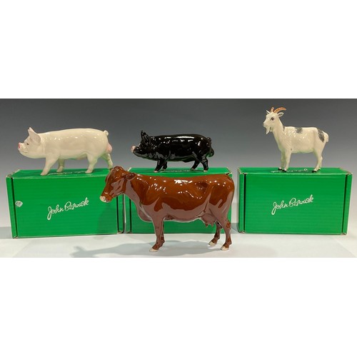 91 - A Beswick model, of a Nigerian Pot-Bellied Pygmy Goat; others, White Boar, Berkshire Boar, Red Poll ... 