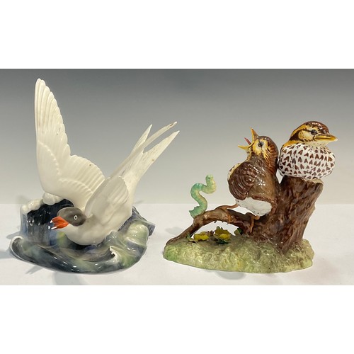 37 - A Royal Crown Derby model, Thrush Chicks, 13cm, printed marks; another, Seagull, 16cm, printed marks... 