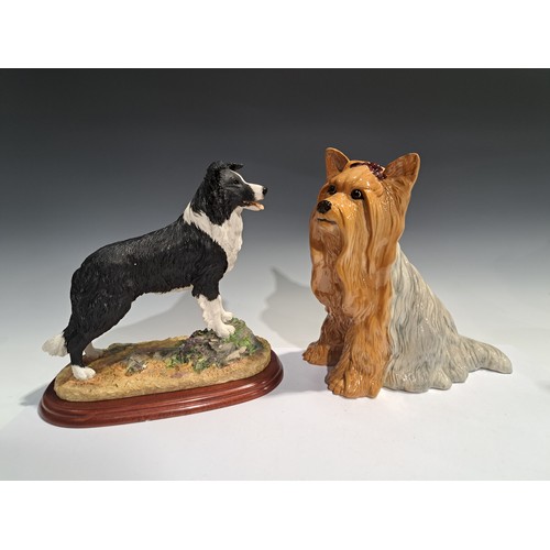 142 - A Beswick fireside model, of a Yorkshire Terrier, seated with ribbon, 26cm high, impressed mark, mod... 