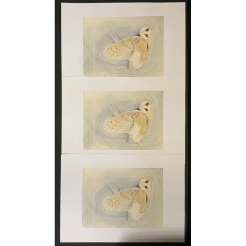 Lot 326       