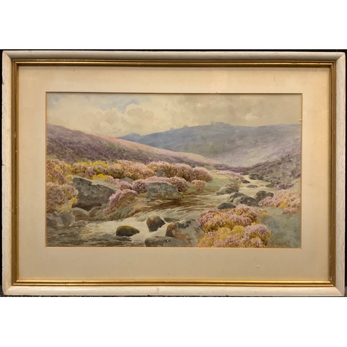 955 - W S M Darish, Dartmoor, signed, watercolour, 28cm x 46cm