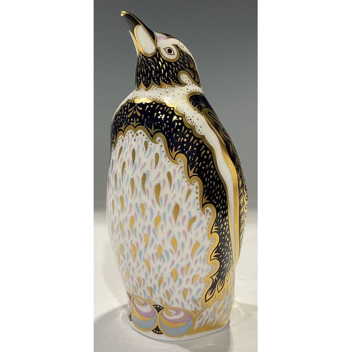 28 - A Royal Crown Derby paperweight, Galapagos Penguin, Endangered Species Collection, commissioned by S... 