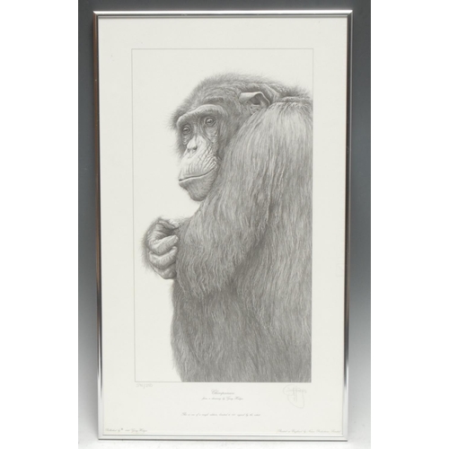 93 - Gary Hodges Wildlife Artist (1954- ), by and after, Chipanezee, monochrome print, signed in pencil, ... 