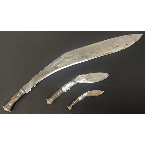 2247 - Three Kukri Knives: one very large example with 750mm long blade. Overall length 885mm. Complete wit... 