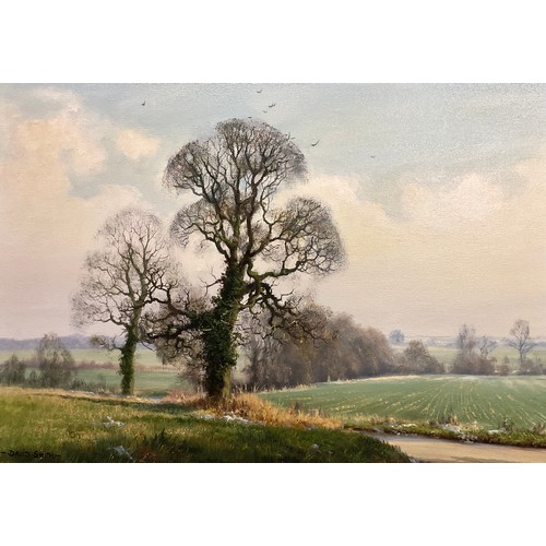 79 - David Smith (British, 20th century), The Winter Elm Tree, Essex, signed, oil on canvas, 36.5cm x 51.... 