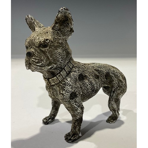 94 - A Bergman cold painted bronze, French bulldog, 9cm high