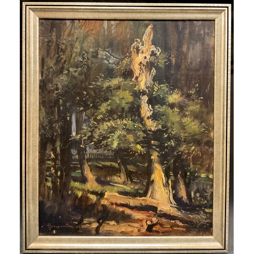 22 - Orlando Greenwood (1892-1989), The Gale Damaged Tree, signed, dated 1922, oil on canvas, 54cm x 43.5... 