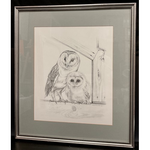 86 - Pollyanna Pickering (1942-2018), Barn Owl with chick, signed, fine pencil drawing, 44cm x 36cm.