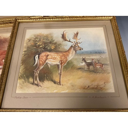 152 - Archibald Thorburn (1860 - 1935), after, British Wildlife, a set of nine lithographs, gilt frames, e... 