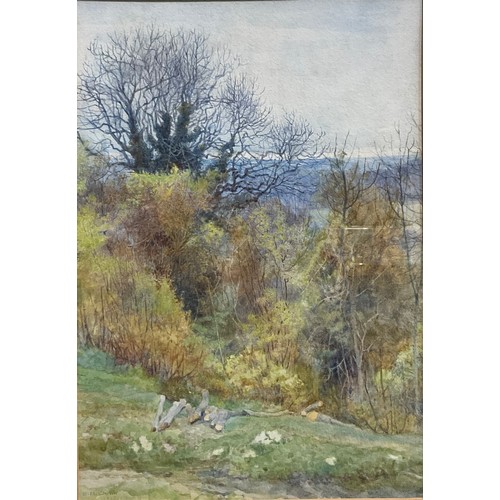 202 - Elizabeth M Chettle
A Spring Morning
signed, dated 1928, watercolour, 30cm x 21cm