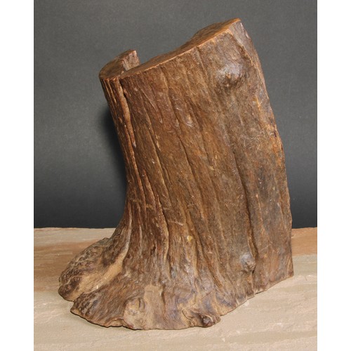 786 - Natural History - a sculptural section of bog wood, 27cm high