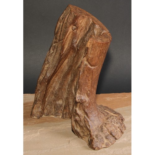 786 - Natural History - a sculptural section of bog wood, 27cm high