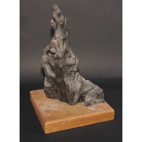 790 - Natural History - a section of Irish bog oak, mounted for display, 41cm high overall