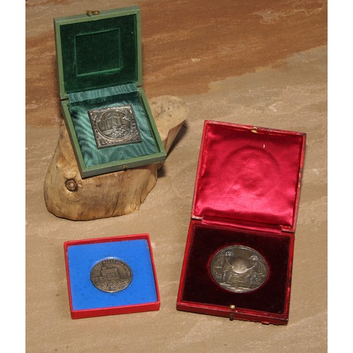 463 - An early 20th century silver coloured metal presentation medal, Daily Mail Trophy Competition, 1910,... 