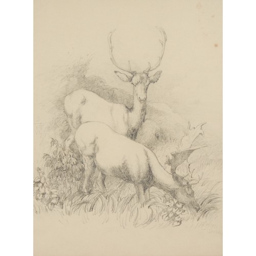 642 - R M Dublin (19th century)
Deer Grazing
signed, dated 1821, pencil drawing, 24cm x 17.5cm