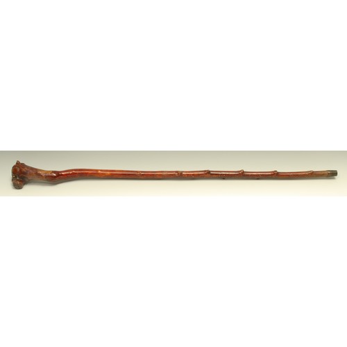 743 - A 19th century folk art walking stick, the pommel carved as the head of a gentleman and a farm anima... 