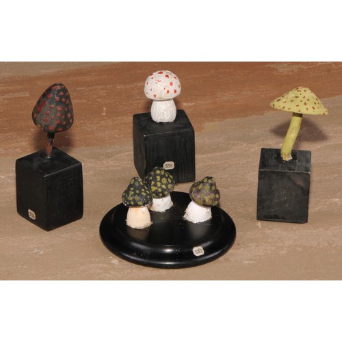 631 - Natural History - Mycology - a painted model of fungus specimens, mounted for display, 8.5cm diam ov... 