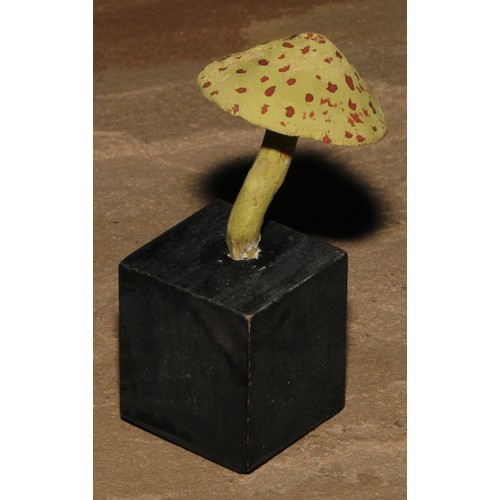 631 - Natural History - Mycology - a painted model of fungus specimens, mounted for display, 8.5cm diam ov... 