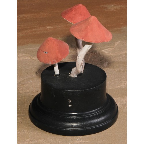 795 - Natural History - Mycology - a painted model of fungus specimen, mounted for display, 13.5cm high; a... 