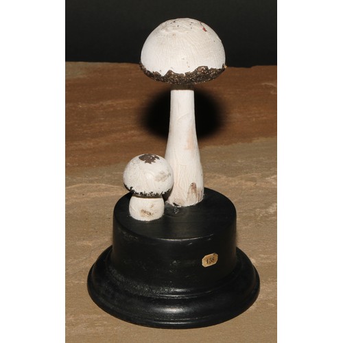 795 - Natural History - Mycology - a painted model of fungus specimen, mounted for display, 13.5cm high; a... 