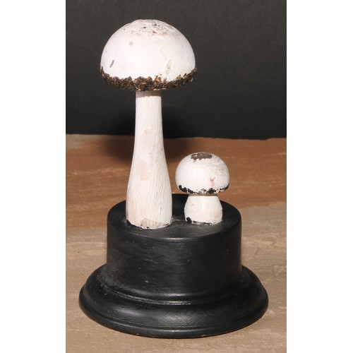 795 - Natural History - Mycology - a painted model of fungus specimen, mounted for display, 13.5cm high; a... 