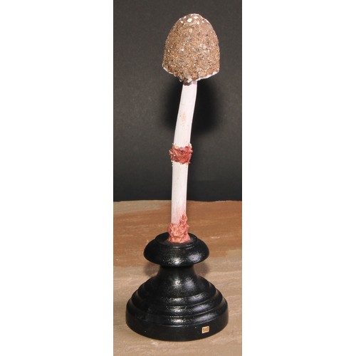 804 - Natural History - Mycology - a painted model of fungus specimen, mounted for display, 26cm high