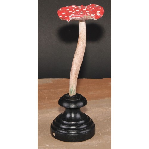 802 - Natural History - Mycology - a painted model of fungus specimen, mounted for display, 21cm high