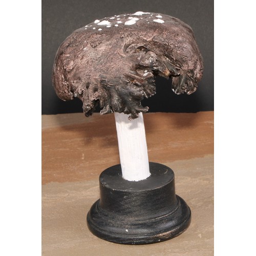 799 - Natural History - Mycology - a painted model of fungus specimen, mounted for display, 17.5cm high