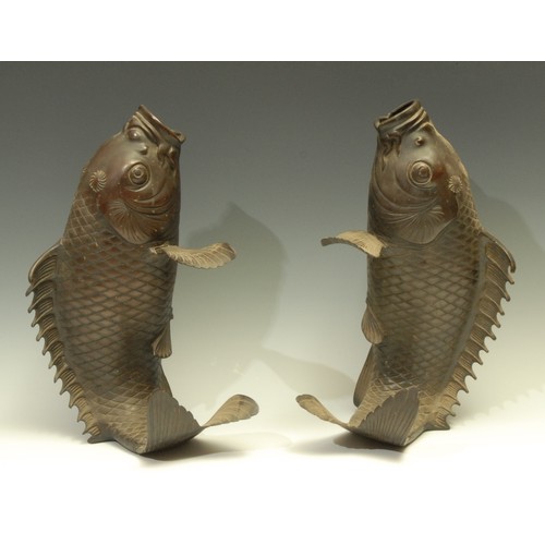 602 - Japanese School, a pair of dark patinated bronze carp, modelled upright, detachable fins, 35cm high