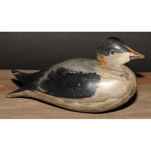 300 - A painted softwood avian decoy, carved as a water fowl, 25cm long