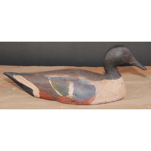 302 - A painted softwood decoy duck, 37cm long