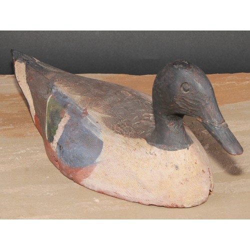 302 - A painted softwood decoy duck, 37cm long