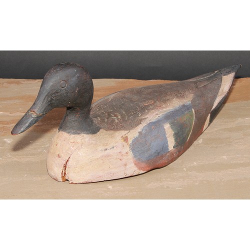 302 - A painted softwood decoy duck, 37cm long