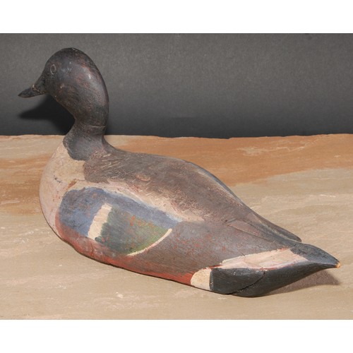 302 - A painted softwood decoy duck, 37cm long