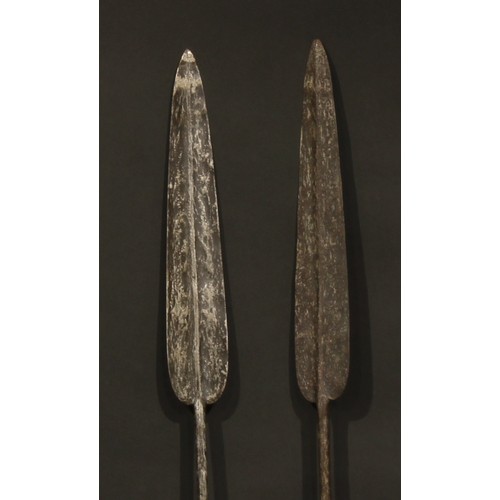 834 - Tribal Art - a Maasai spear, 219cm long, Kenya, c.1900; another (2)