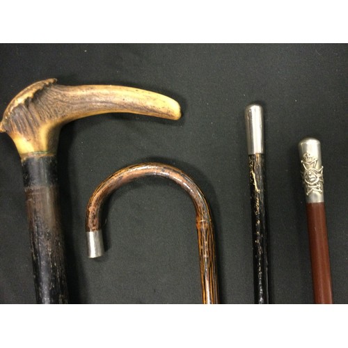 45A - A swagger/parade stick with crest, 72cm long, another; women’s walking stick. One country walking st... 