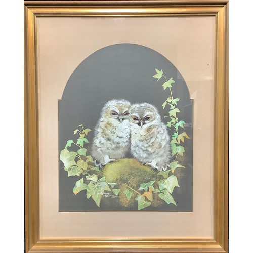 89 - Pollyanna Pickering (1942-2018)   
Two Owlets 
signed, gouache, 35cm x 28cm