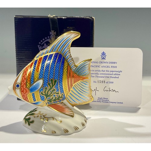 94 - A Royal Crown Derby paperweight, Pacific Angel Fish, from the Tropical Fish Series, limited edition ... 